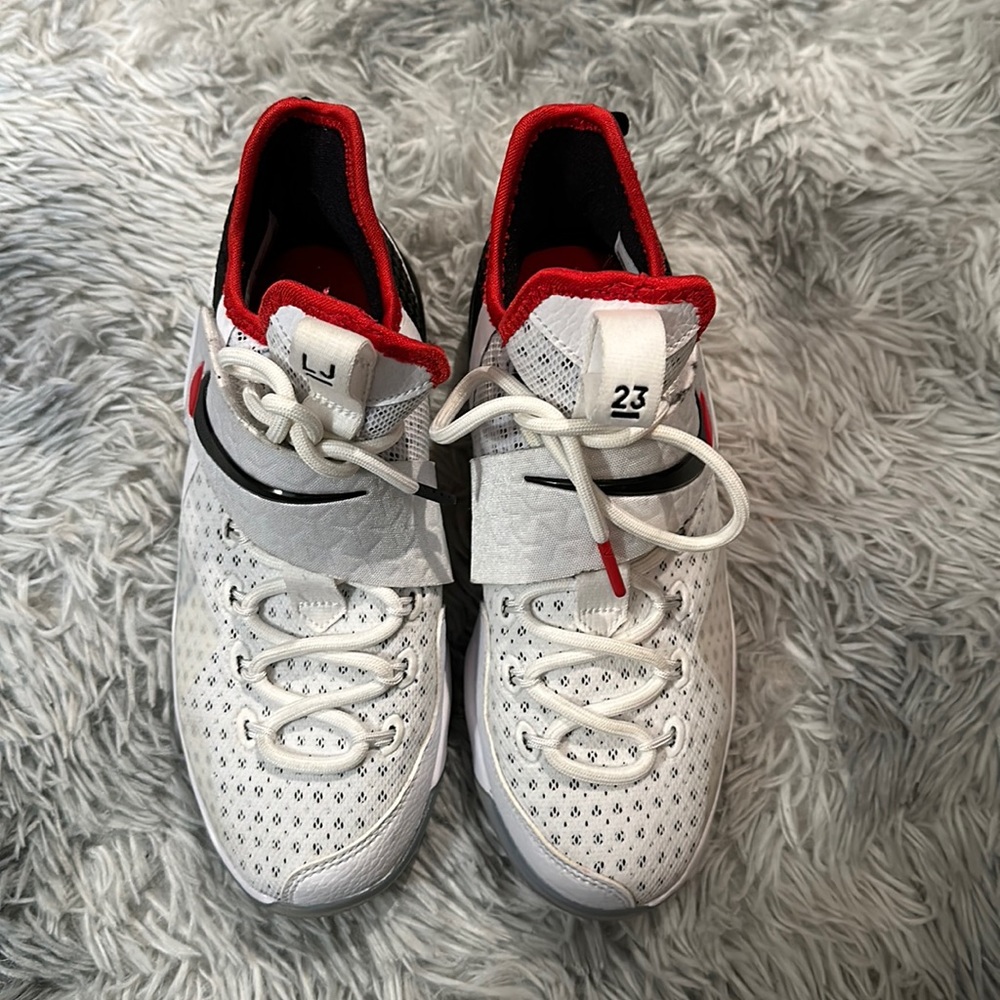 LeBron James Sneakers